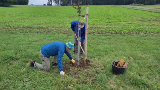 Obstbaum-Pflegetag 2024