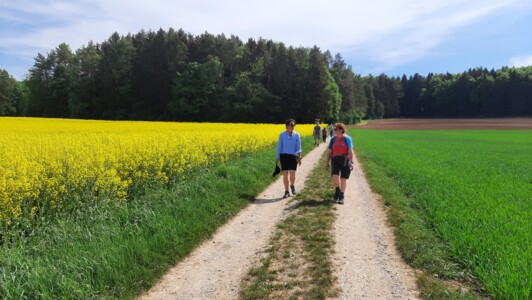 Frühjahrswanderung 2022 Hohe-Reuth-Rundweg