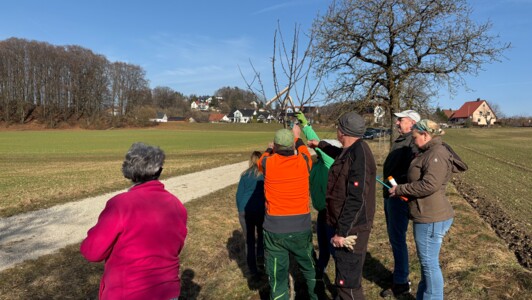 Streuobstpflegetag 2026