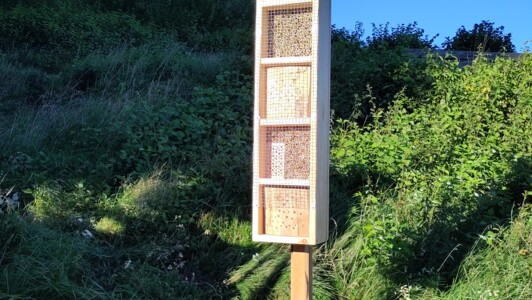 Insektenhotels bauen mit IBG 2023