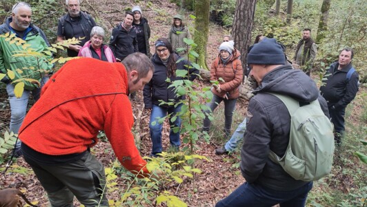 Herbstwanderung 2025 Wald und Wandel