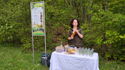 Streuobstwanderung 2024