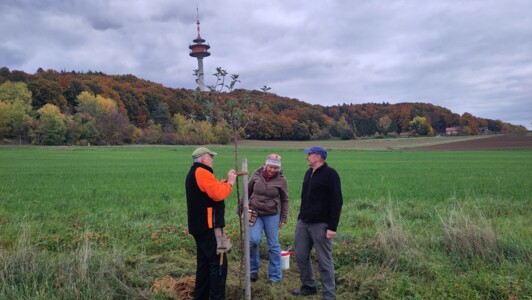 Streuobstpflegetag 2025